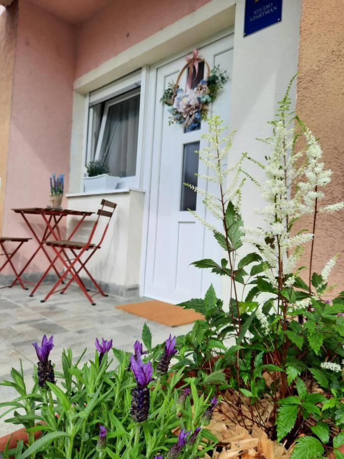 Apartmani Venium Krizevci Exterior photo